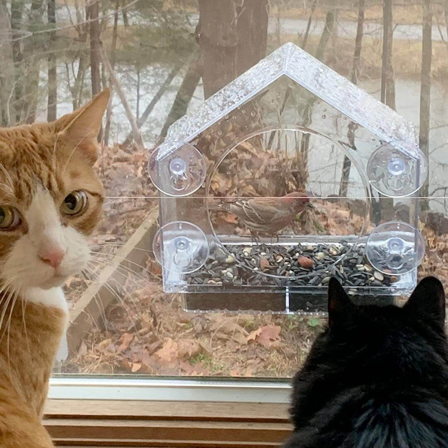 Window Bird Feeder