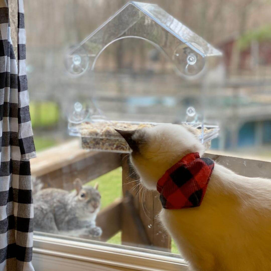 Window Bird Feeder