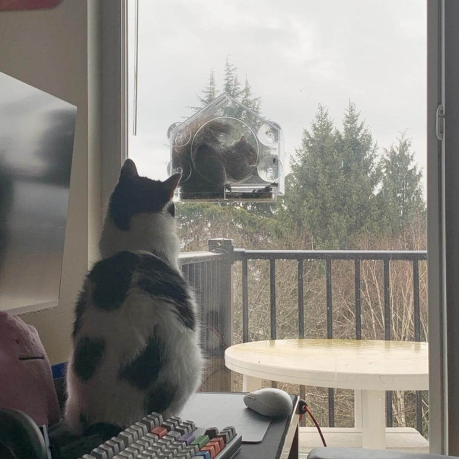 Window Bird Feeder
