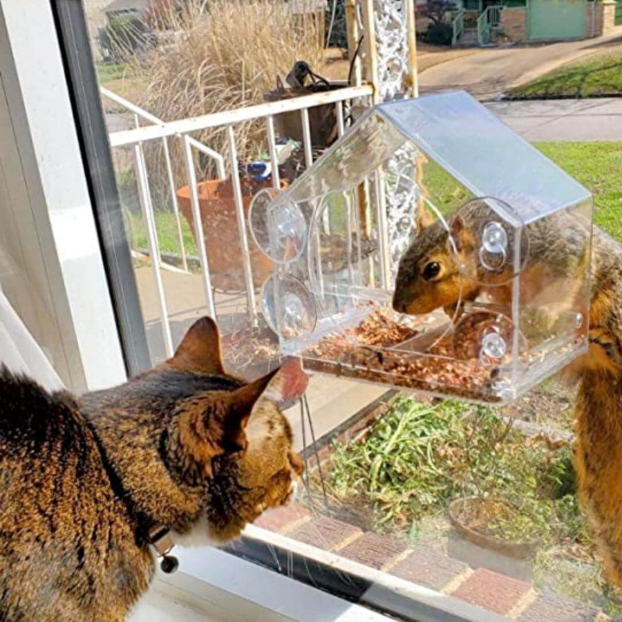 Window Bird Feeder