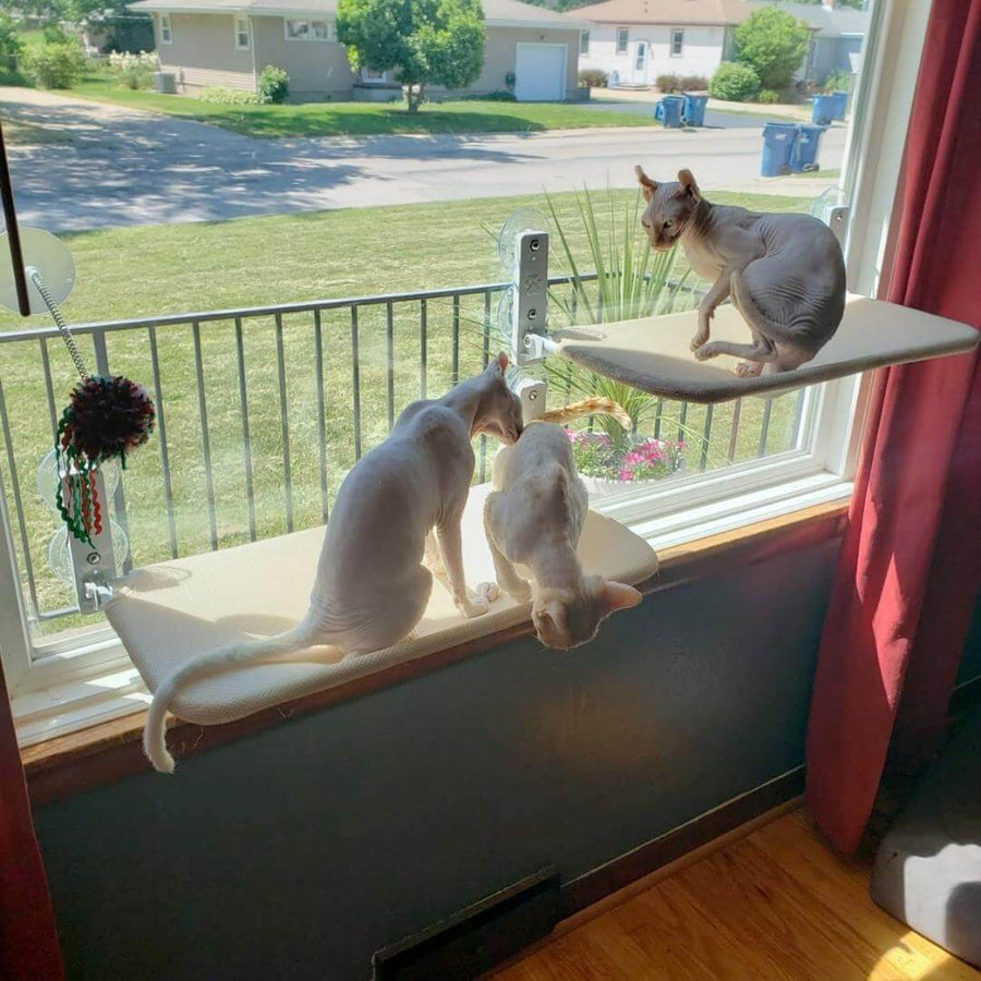 Nymock™ Foldable Cat Hammock