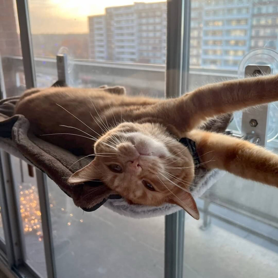 Nymock™ Foldable Cat Hammock