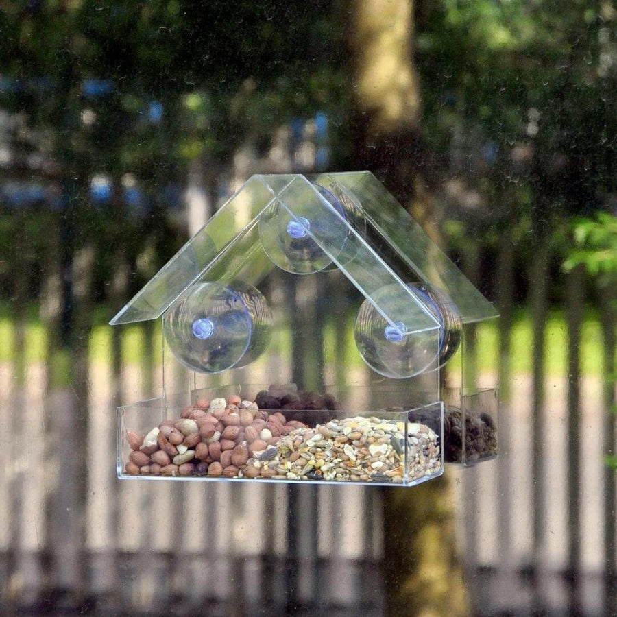 Window Bird Feeder