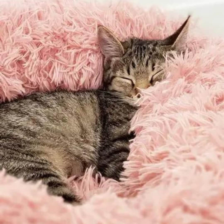Nymock™ Calming Bed
