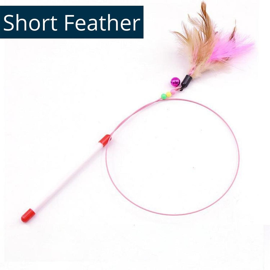 Feather Teaser (Buy 1 Get 1)