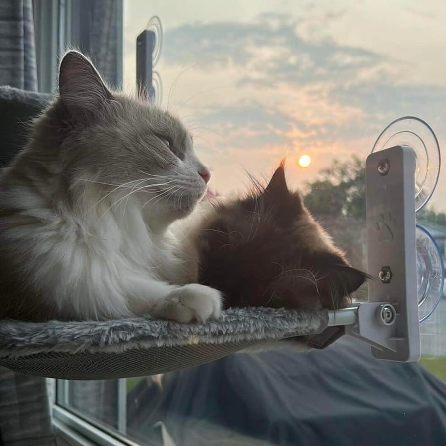 Nymock™ Foldable Cat Hammock
